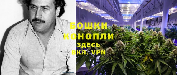 молекула духа Горно-Алтайск