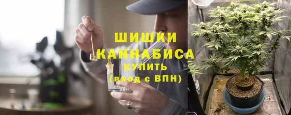 бошки Горняк